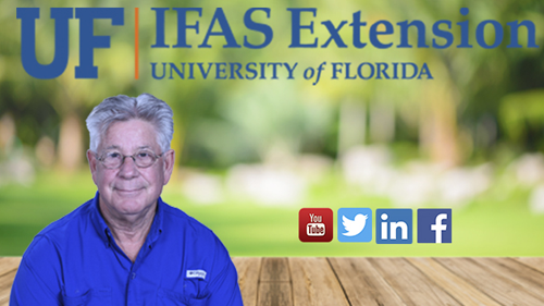 UF IFAS Extension
