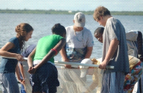 A group of students participate in a water quality study, examining a net filled with samples collected from the bay. Educational field trip, environmental science.