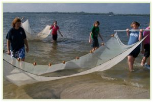 Group of people seining in shallow water with a long net. The net has floats along the top edge. The water is calm and the sky is bright, suggesting a sunny day at the beach.