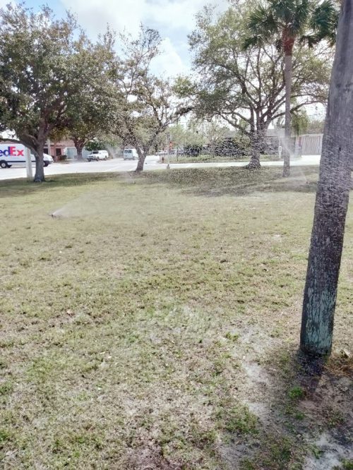 Francis K. Sweet Irrigation