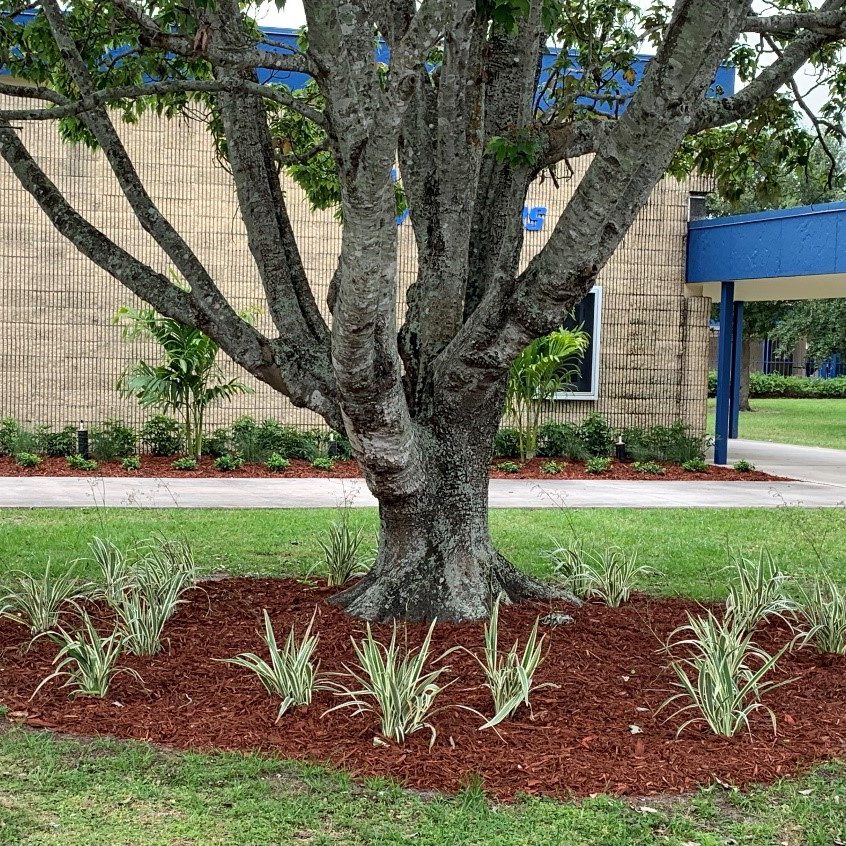 Northport K-8 Landscaping